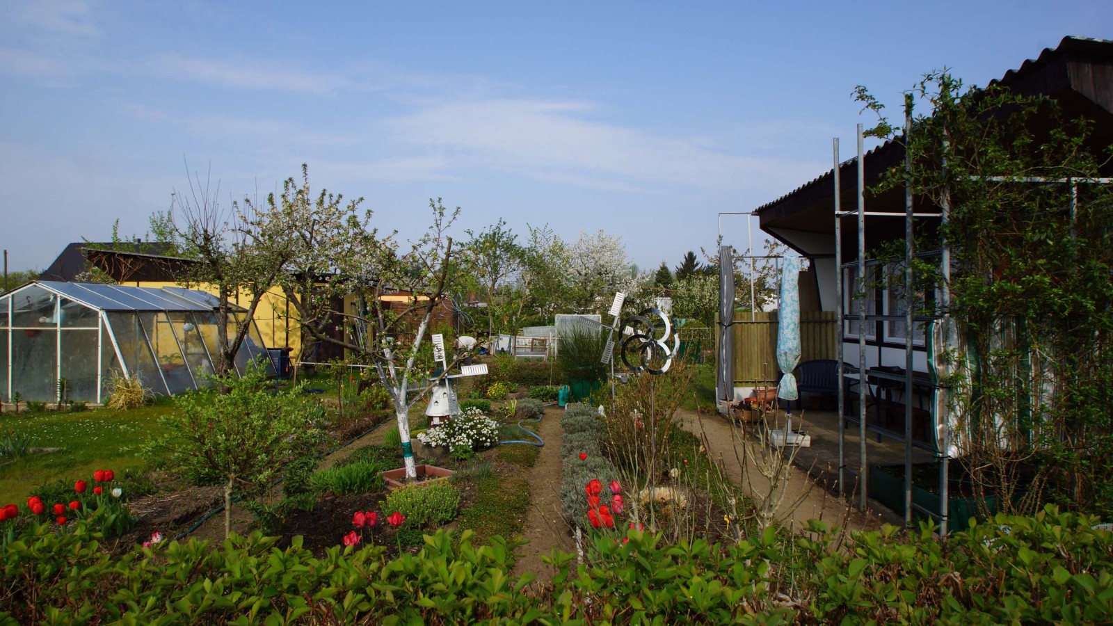 DSC02418