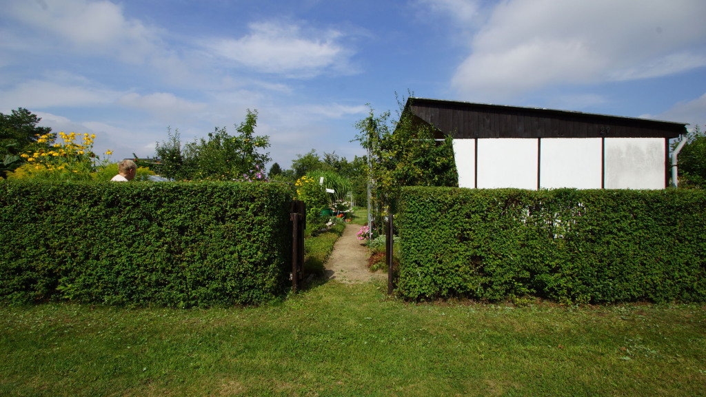 Blick vom Weg auf die Parzelle