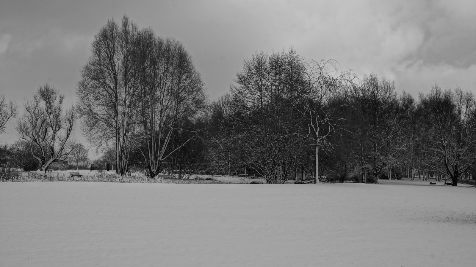 DSC01999a