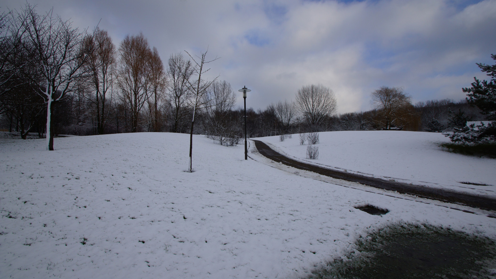 DSC02000a