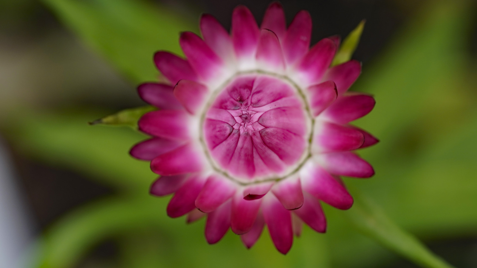 _DSA5324