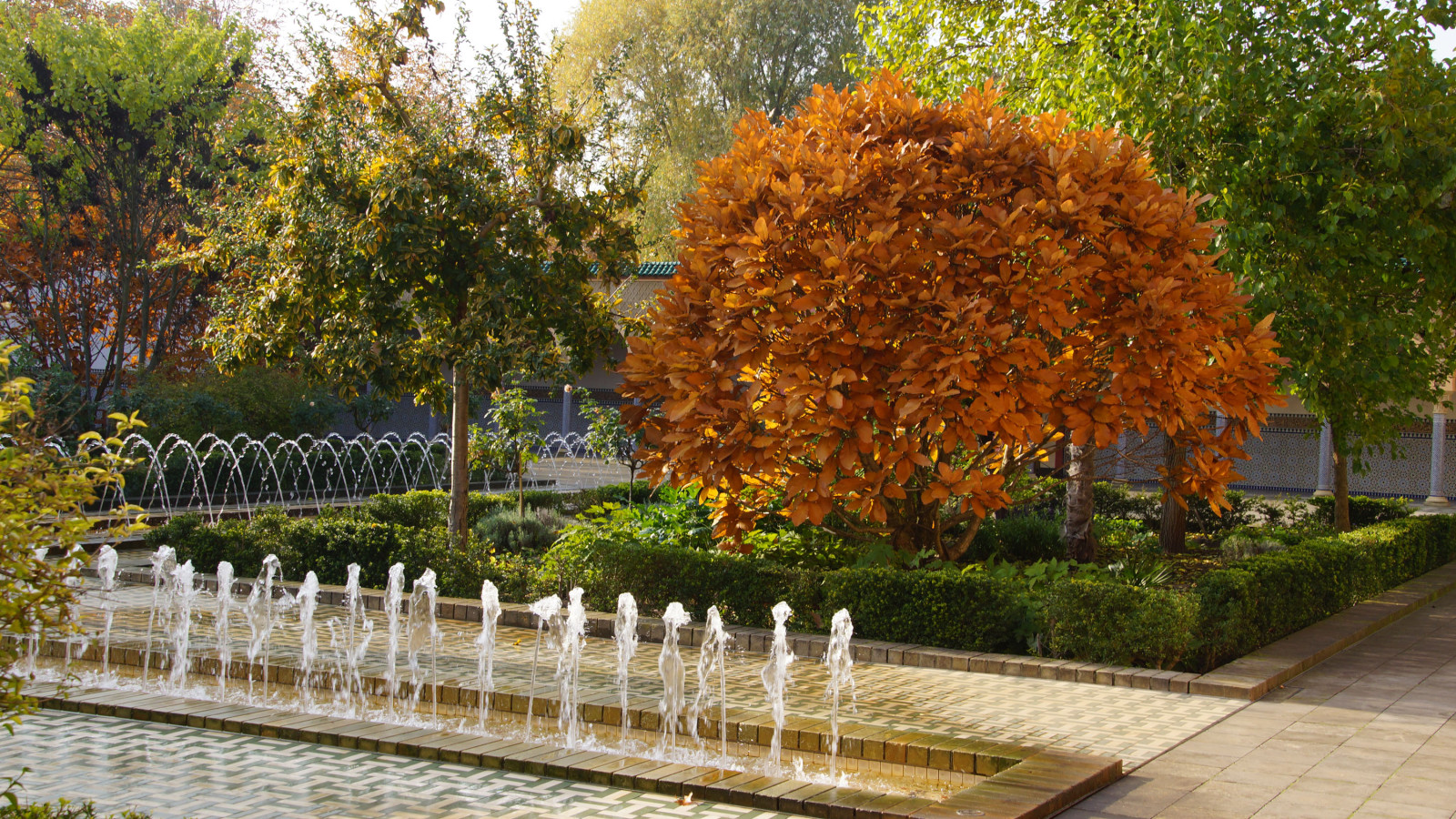 DSC03940