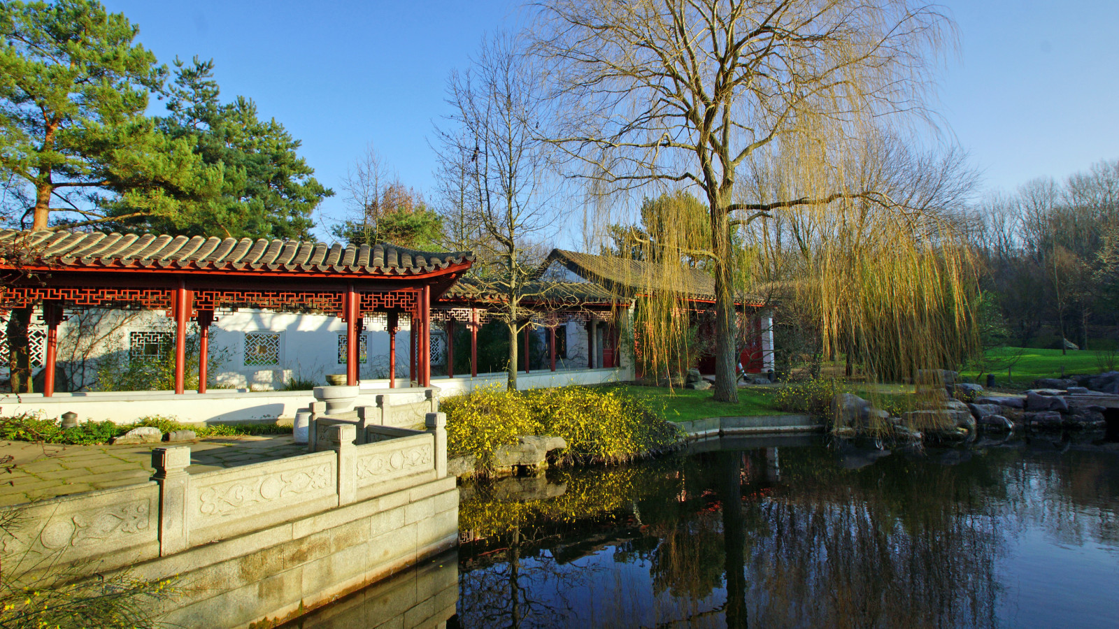 Der chinesische Garten am 29. Dezember