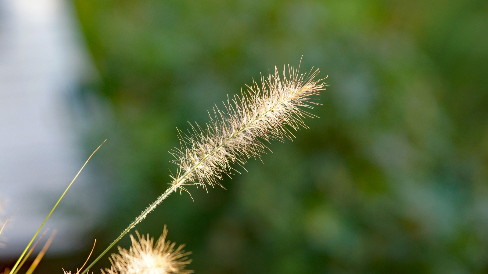 DSC05190