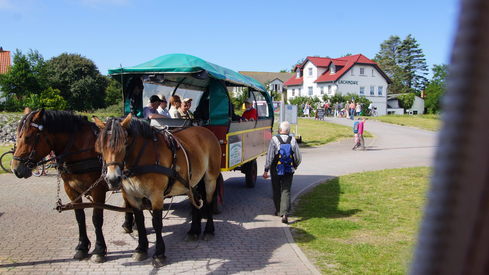 Kutschfahrt auf Hiddensee