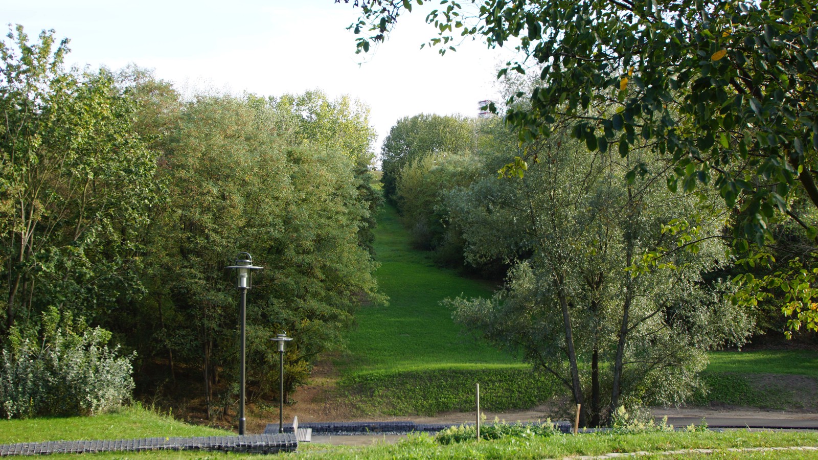 Blick zur alten Schanze des Kienberges.