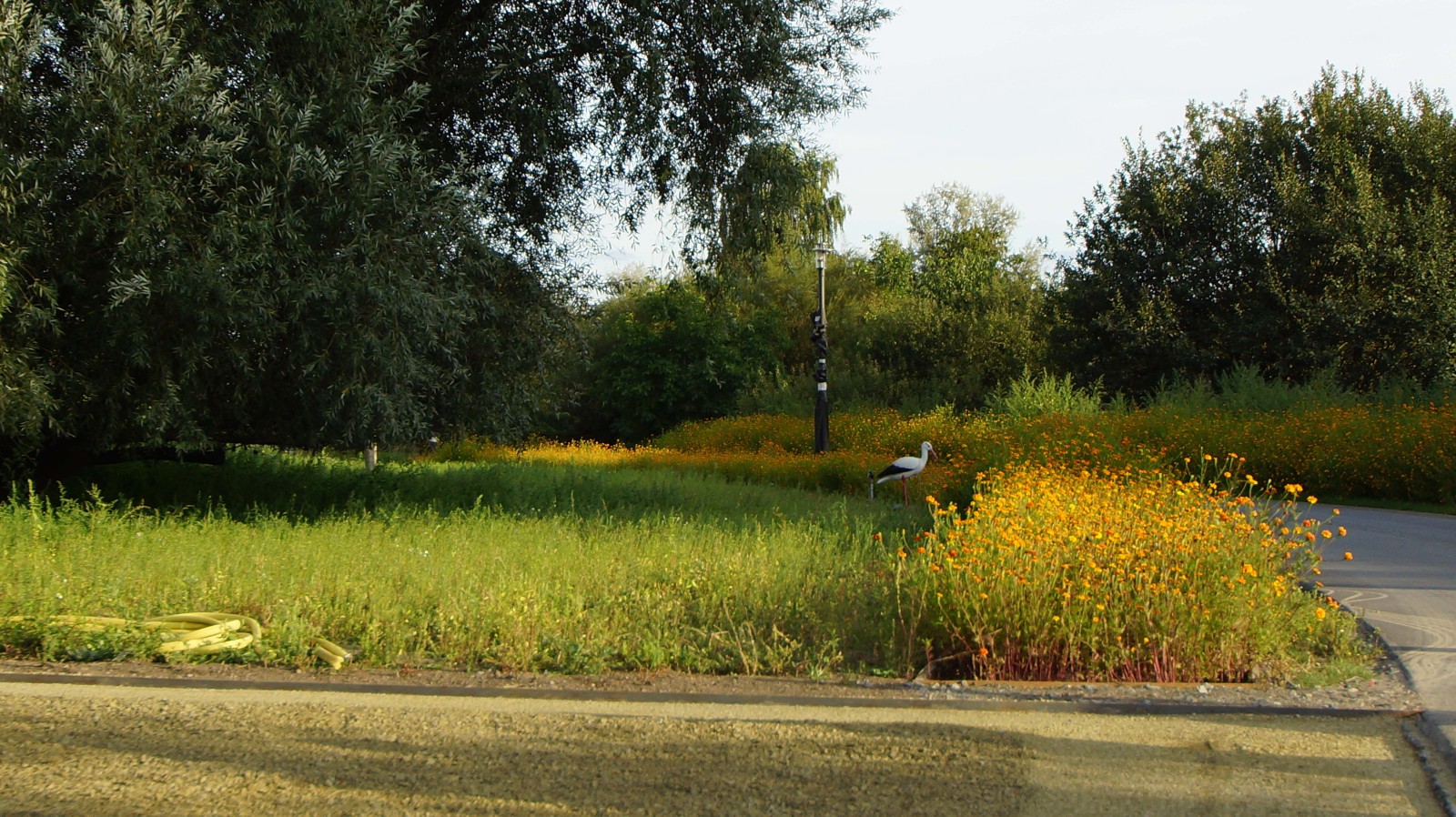 Kienbergterrassen - an der Laterne ist die Webcam installiert. Der Storch ist aber nicht echt.