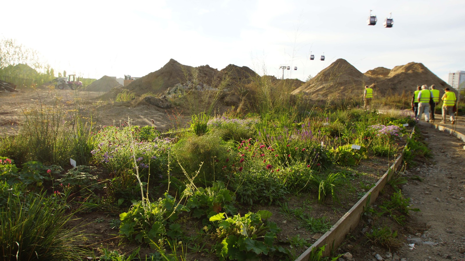 Baustelle und Anpflanzungen