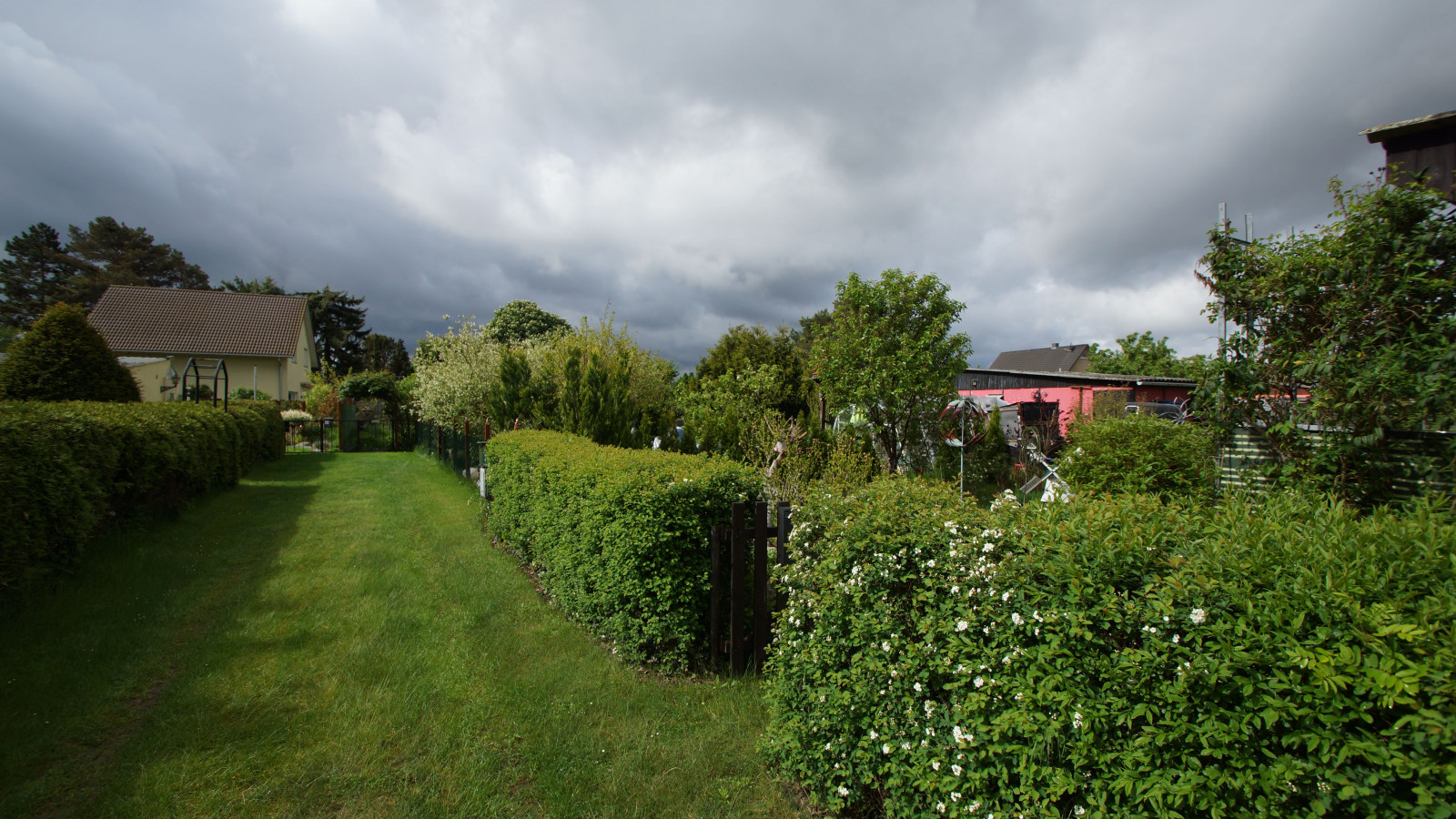 DSC06234