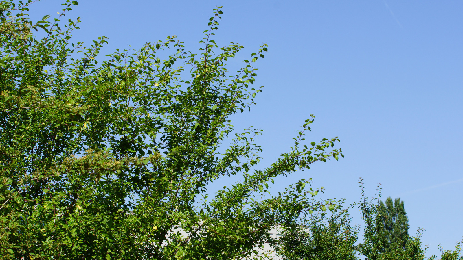 DSC06327