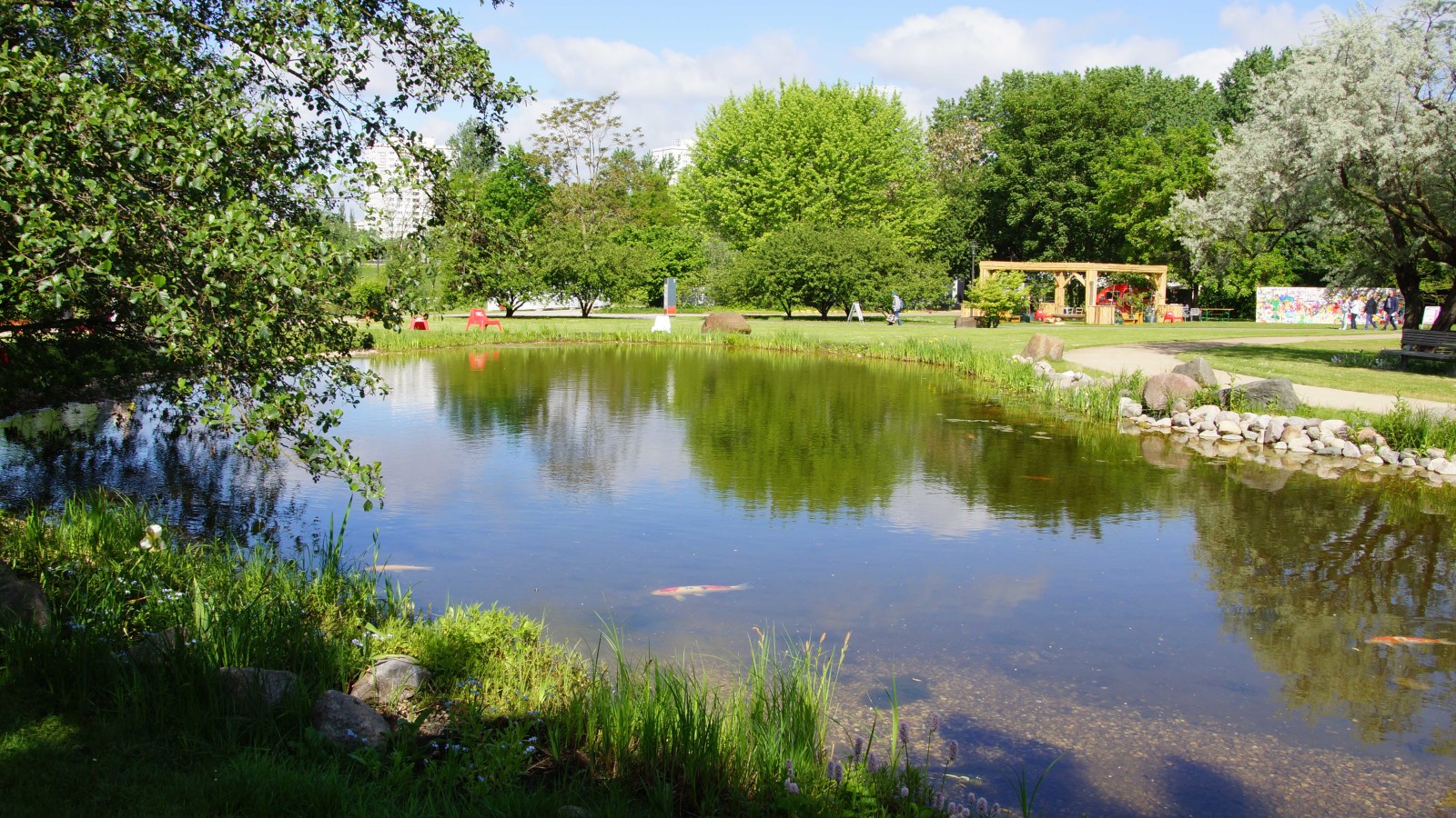DSC07165