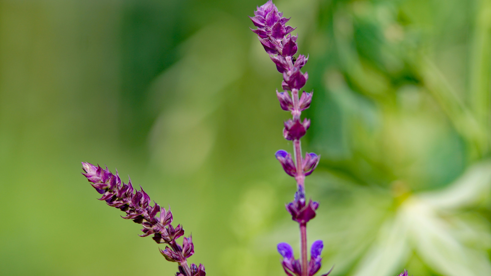 DSC07328