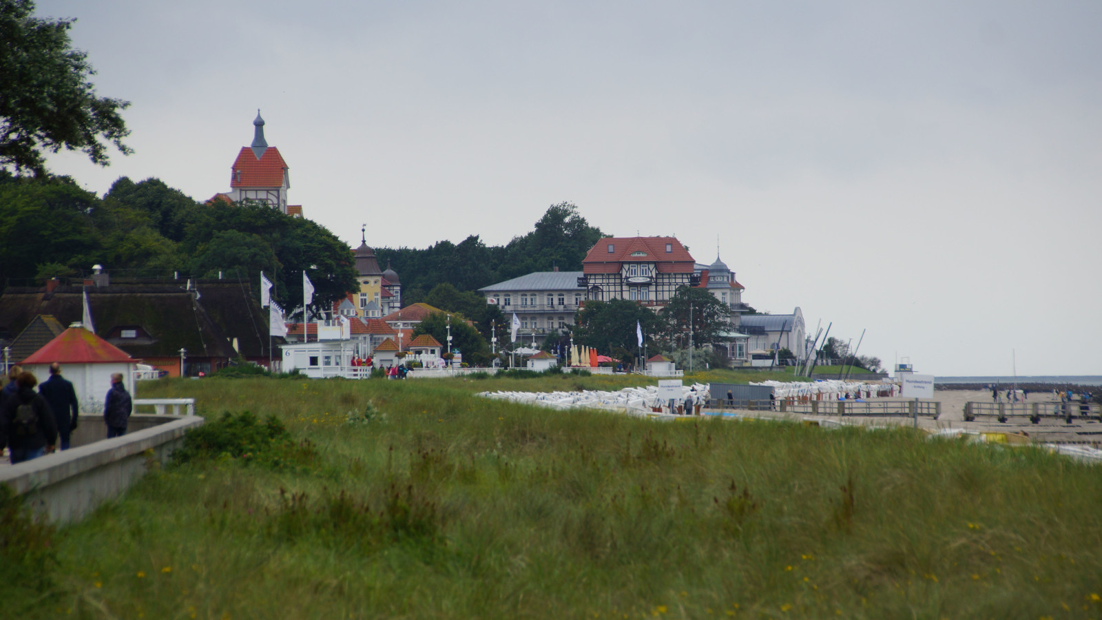 DSC08424