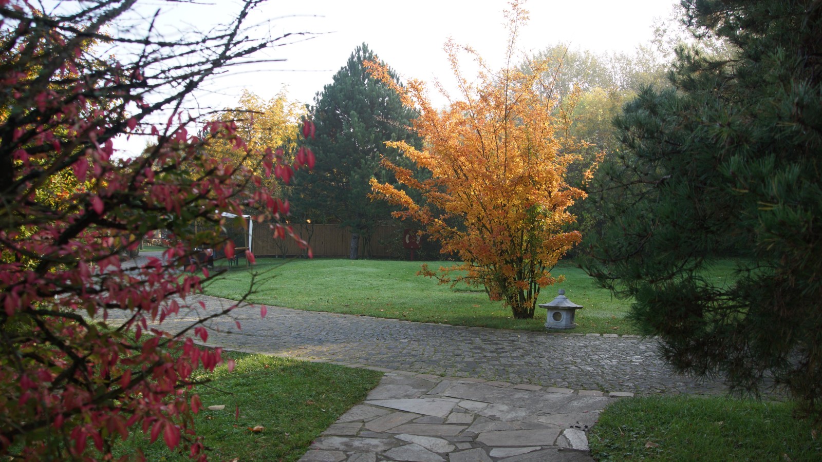 DSC09632