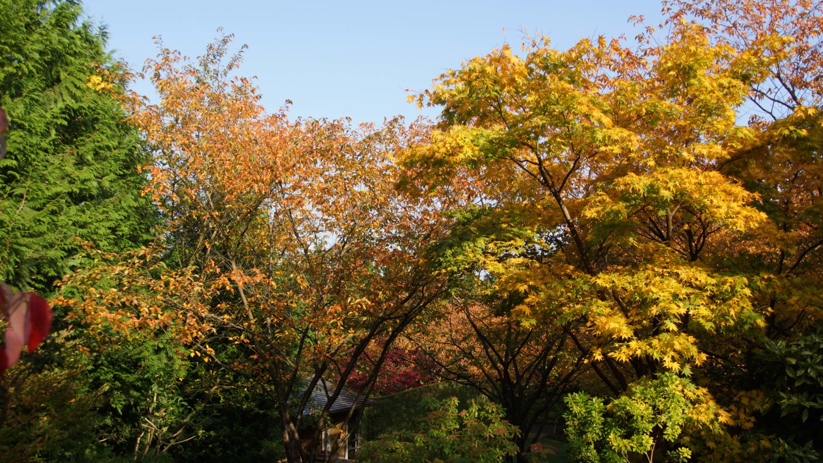 DSC09645