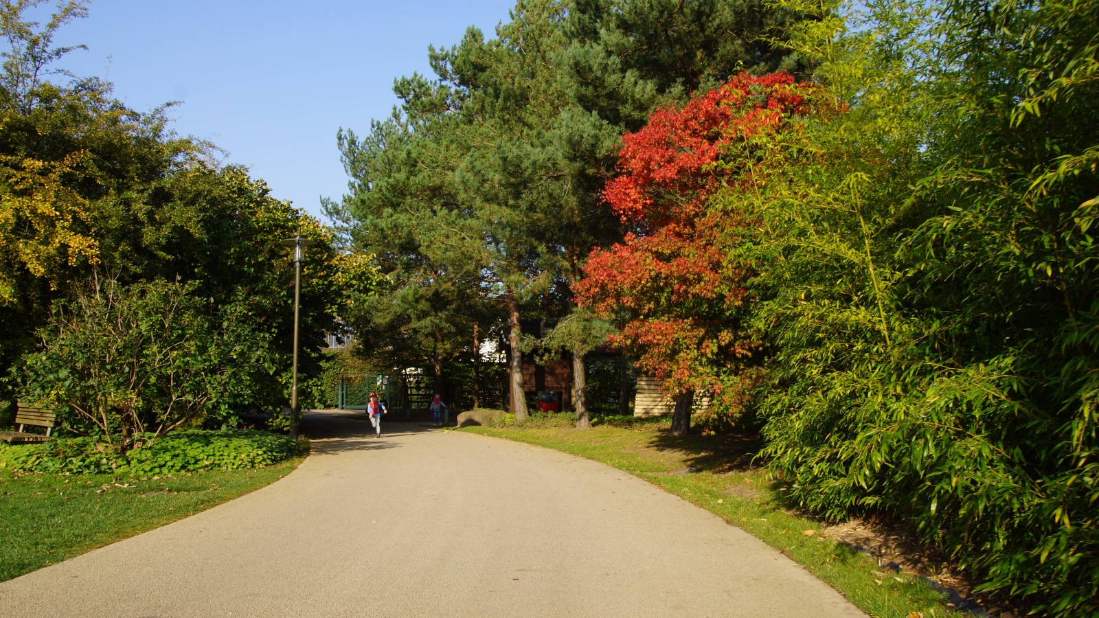 DSC09652