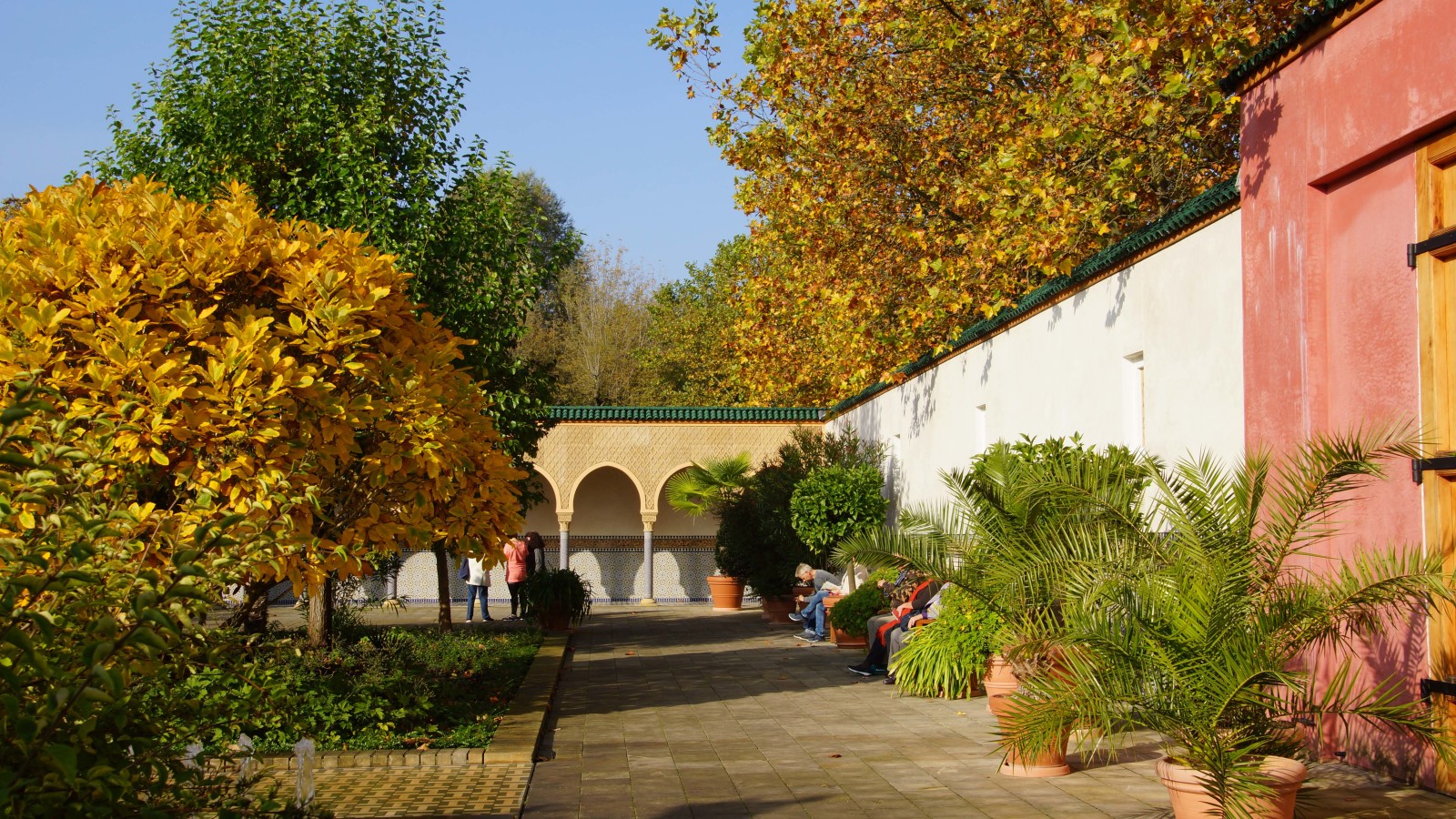 DSC09661